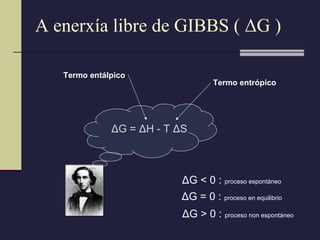 A enerxía libre de GIBBS (  Δ G ) Δ G =  Δ H - T  Δ S Δ G < 0 :  proceso espontáneo Δ G = 0 :  proceso en equilibrio Δ G > 0 :  proceso non espontáneo Termo entálpico Termo entrópico 