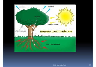 Prof. Msc João Neto   12
 