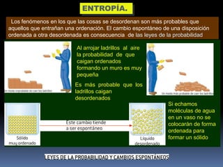 ENTROPÍA.
Los fenómenos en los que las cosas se desordenan son más probables que
aquellos que entrañan una ordenación. El cambio espontáneo de una disposición
ordenada a otra desordenada es consecuencia de las leyes de la probabilidad
Al arrojar ladrillos al aire
la probabilidad de que
caigan ordenados
formando un muro es muy
pequeña
Es más probable que los
ladrillos caigan
desordenados
Si echamos
moléculas de agua
en un vaso no se
colocarán de forma
ordenada para
formar un sólido

 