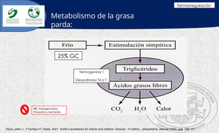 Termoregulacion en Anestesiologia pediatrica | PPTX