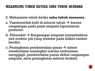 2. Mekanisme tubuh ketika suhu tubuh menurun : 
a. Vasokontriksi kulit di seluruh tubuh  karena 
rangsangan pada pusat simpatis hipotalamus 
posterior. 
b. Piloereksi  Rangsangan simpatis menyebabkan 
otot erektor pili yang melekat pada folikel rambut 
berdiri. 
c. Peningkatan pembentukan panas  sistem 
metabolisme meningkat melalui mekanisme 
menggigil, pembentukan panas akibat rangsangan 
simpatis, serta peningkatan sekresi tiroksin. 
 