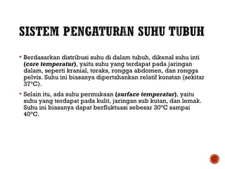  Berdasarkan distribusi suhu di dalam tubuh, dikenal suhu inti 
(core temperatur), yaitu suhu yang terdapat pada jaringan 
dalam, seperti kranial, toraks, rongga abdomen, dan rongga 
pelvis. Suhu ini biasanya dipertahankan relatif konstan (sekitar 
37°C). 
 Selain itu, ada suhu permukaan (surface temperatur), yaitu 
suhu yang terdapat pada kulit, jaringan sub kutan, dan lemak. 
Suhu ini biasanya dapat berfluktuasi sebesar 30°C sampai 
40°C. 
 