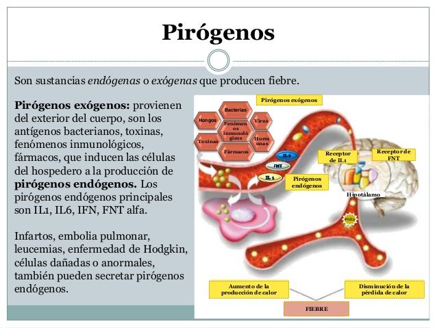 Termorregulación Termorregulación