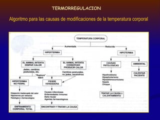 TERMORREGULACION
Algoritmo para las causas de modificaciones de la temperatura corporal
 