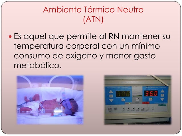 Termorregulación PPT