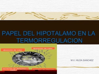 PAPEL DEL HIPOTALAMO EN LAPAPEL DEL HIPOTALAMO EN LA
TERMORREGULACIONTERMORREGULACION
M.V. HILDA SANCHEZ
 