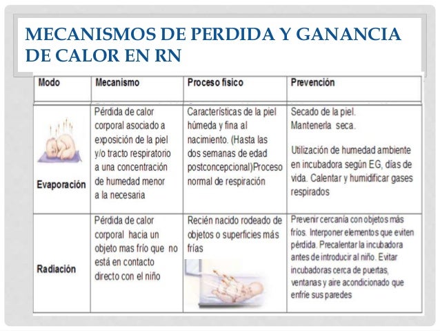 Termorregulación Neonatal