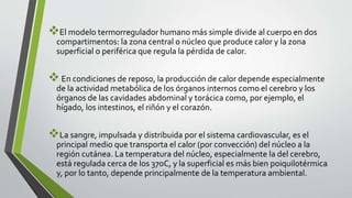 El modelo termorregulador humano más simple divide al cuerpo en dos
compartimentos: la zona central o núcleo que produce calor y la zona
superficial o periférica que regula la pérdida de calor.
En condiciones de reposo, la producción de calor depende especialmente
de la actividad metabólica de los órganos internos como el cerebro y los
órganos de las cavidades abdominal y torácica como, por ejemplo, el
hígado, los intestinos, el riñón y el corazón.
La sangre, impulsada y distribuida por el sistema cardiovascular, es el
principal medio que transporta el calor (por convección) del núcleo a la
región cutánea. La temperatura del núcleo, especialmente la del cerebro,
está regulada cerca de los 37oC, y la superficial es más bien poiquilotérmica
y, por lo tanto, depende principalmente de la temperatura ambiental.
 