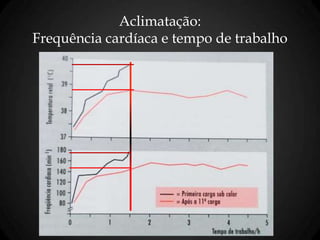 Aclimatação:
Frequência cardíaca e tempo de trabalho
 