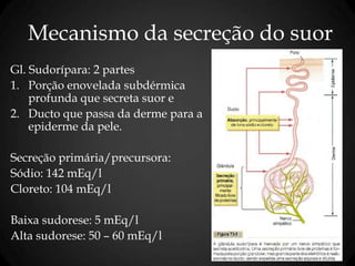 Mecanismo da secreção do suor
Gl. Sudorípara: 2 partes
1. Porção enovelada subdérmica
profunda que secreta suor e
2. Ducto que passa da derme para a
epiderme da pele.
Secreção primária/precursora:
Sódio: 142 mEq/l
Cloreto: 104 mEq/l
Baixa sudorese: 5 mEq/l
Alta sudorese: 50 – 60 mEq/l
 