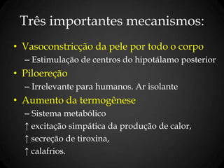 Três importantes mecanismos:
• Vasoconstricção da pele por todo o corpo
– Estimulação de centros do hipotálamo posterior
• Piloereção
– Irrelevante para humanos. Ar isolante
• Aumento da termogênese
– Sistema metabólico
↑ excitação simpática da produção de calor,
↑ secreção de tiroxina,
↑ calafrios.
 