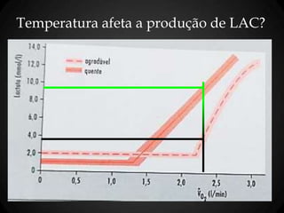 Temperatura afeta a produção de LAC?
 