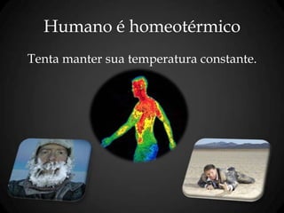 Humano é homeotérmico
Tenta manter sua temperatura constante.
 
