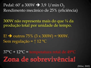 Pedal: 60’ a 300W  3,9 l/min O2
Rendimento mecânico de 25% (eficiência)
300W não representa mais do que ¼ da
produção tot...