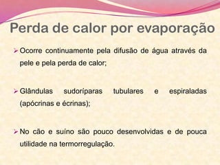 Perda de calor por evaporação
 Ocorre continuamente pela difusão de água através da
pele e pela perda de calor;
 Glândulas sudoríparas tubulares e espiraladas
(apócrinas e écrinas);
 No cão e suíno são pouco desenvolvidas e de pouca
utilidade na termorregulação.
 