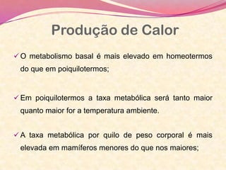  O metabolismo basal é mais elevado em homeotermos
do que em poiquilotermos;
 Em poiquilotermos a taxa metabólica será tanto maior
quanto maior for a temperatura ambiente.
 A taxa metabólica por quilo de peso corporal é mais
elevada em mamíferos menores do que nos maiores;
Produção de Calor
 