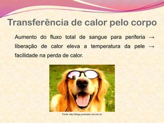 Transferência de calor pelo corpo
Aumento do fluxo total de sangue para periferia →
liberação de calor eleva a temperatura da pele →
facilidade na perda de calor.
Fonte: http://blogs.jovempan.uol.com.br
 