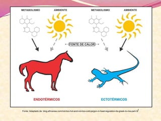 Fonte: Adaptado de: blog.africaraw.com/not-too-hot-and-not-too-cold-jargon-in-heat-regulation-its-greek-to-me-part-3/
 