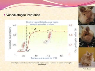  Vasodilatação Periférica
Fonte: http://www.slideshare.net/nunocorreia/b23-regulao-nervosa-e-hormonal-em-animais-termorregulao-e-
osmorregulao
Fonte: O autor
 