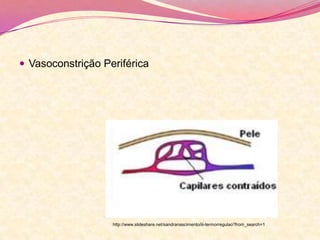  Vasoconstrição Periférica
http://www.slideshare.net/sandranascimento/iii-termorregulao?from_search=1
 