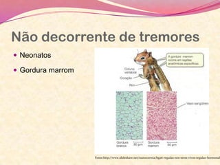 Não decorrente de tremores
 Neonatos
 Gordura marrom
Fonte:http://www.slideshare.net/nunocorreia/bg26-regulao-nos-seres-vivos-regulao-hormonal
 