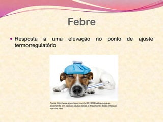 Febre
 Resposta a uma elevação no ponto de ajuste
termorregulatório
Fonte: http://www.agendapet.com.br/2013/03/saiba-o-que-e-
pielonefrite-em-caesas-causas-sinais-e-tratamento-dessa-infeccao-
nos-rins.html
 