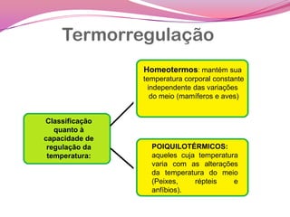 Termorregulação
Classificação
quanto à
capacidade de
regulação da
temperatura:
Homeotermos: mantém sua
temperatura corporal constante
independente das variações
do meio (mamíferos e aves)
POIQUILOTÉRMICOS:
aqueles cuja temperatura
varia com as alterações
da temperatura do meio
(Peixes, répteis e
anfíbios).
 
