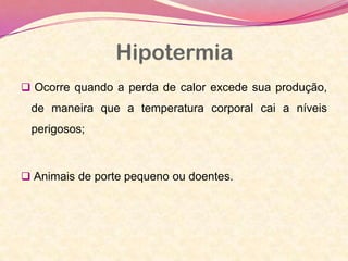 Hipotermia
 Ocorre quando a perda de calor excede sua produção,
de maneira que a temperatura corporal cai a níveis
perigosos;
 Animais de porte pequeno ou doentes.
 
