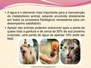  A água é o elemento mais importante para a manutenção
do metabolismo animal, estando envolvida diretamente
em todos os processos fisiológicos necessários para um
desempenho satisfatório;
 Apesar dos animais poderem sobreviver após a perda de
quase toda a gordura e de cerca de 50% de sua proteína
corporais, uma perda de água de apenas 10% pode ser
fatal.
Fonte:http://teclopravoces.blogspot.com.br
 