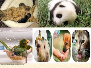 Fonte:http://teclopravoces.blogspot.com.br/
 