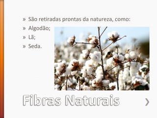 » São retiradas prontas da natureza, como:
» Algodão;
» Lã;
» Seda.
 