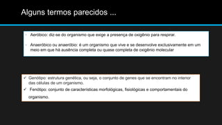 Alguns termos parecidos ...
• Aeróbico: diz-se do organismo que exige a presença de oxigênio para respirar.
• Anaeróbico ou anaeróbio: é um organismo que vive e se desenvolve exclusivamente em um
meio em que há ausência completa ou quase completa de oxigênio molecular
 Genótipo: estrutura genética, ou seja, o conjunto de genes que se encontram no interior
das células de um organismo.
 Fenótipo: conjunto de características morfológicas, fisiológicas e comportamentais do
organismo.
 