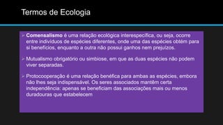 Termos de Ecologia
 Comensalismo é uma relação ecológica interespecífica, ou seja, ocorre
entre indivíduos de espécies di...