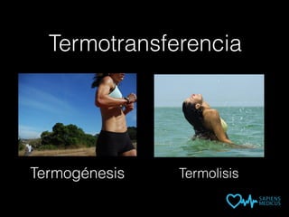 Termogénesis Termolisis
Termotransferencia
 