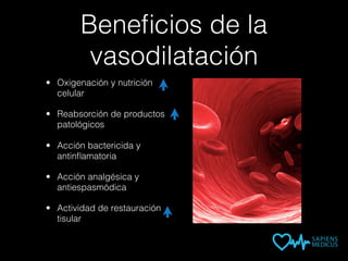 Beneﬁcios de la
vasodilatación
• Oxigenación y nutrición
celular
• Reabsorción de productos
patológicos
• Acción bactericida y
antinﬂamatoria
• Acción analgésica y
antiespasmódica
• Actividad de restauración
tisular
 