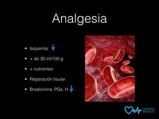 Analgesia
• Isquemia
• + de 30 ml/100 g
• + nutrientes
• Reparación tisular
• Bradicinina, PGs, H
 