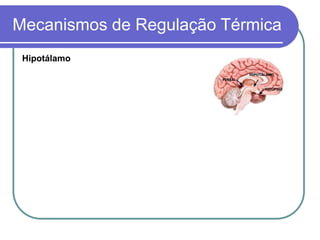 Mecanismos de Regulação Térmica
Hipotálamo
 