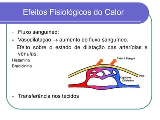 Efeitos Fisiológicos do Calor
- Fluxo sanguíneo:
 Vasodilatação  aumento do fluxo sanguíneo.
Efeito sobre o estado de dilatação das arteríolas e
vênulas.
Histamina
Bradicinina
 Transferência nos tecidos
 