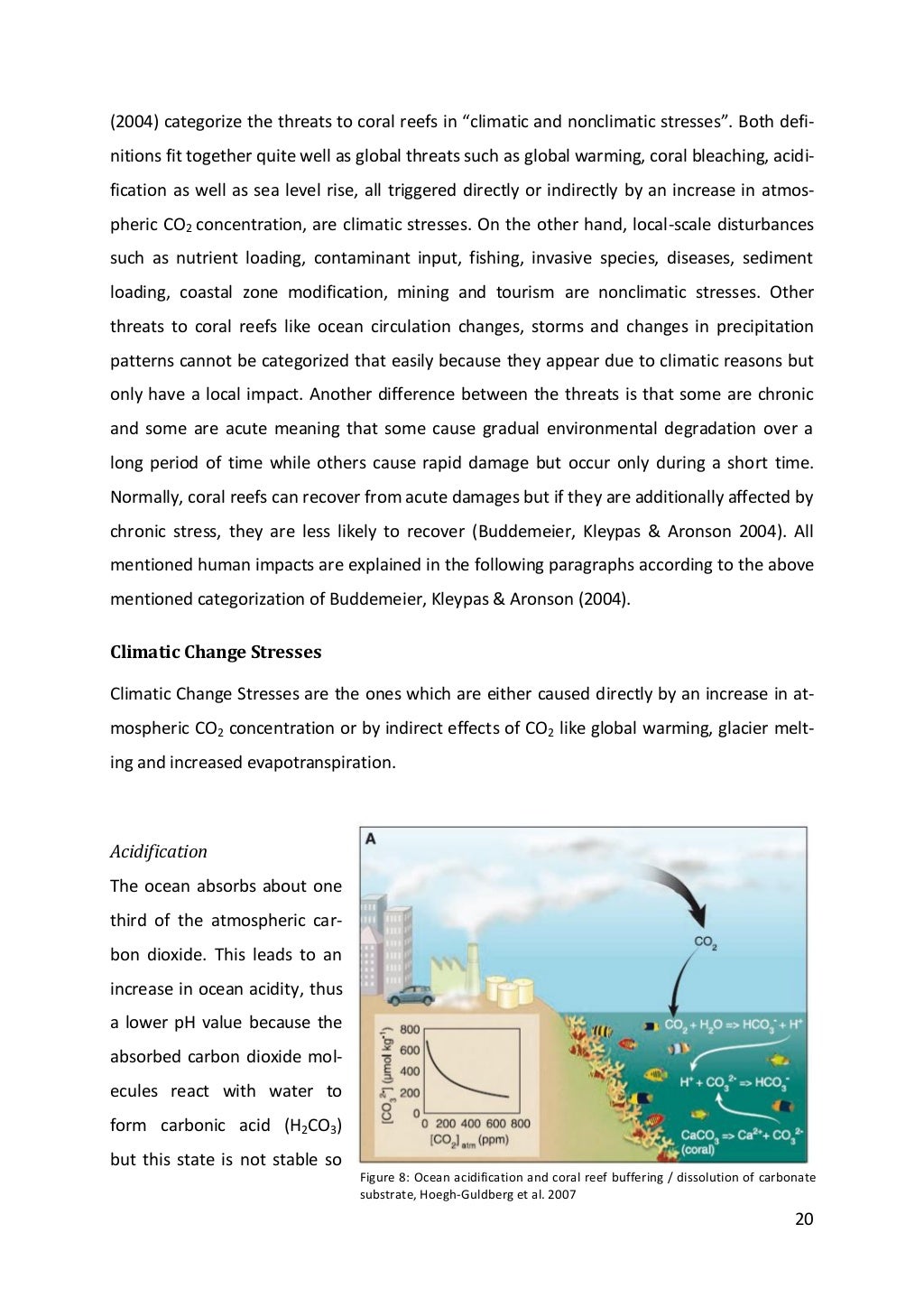 Importance of coral reefs pdf picture