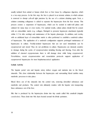 16
usually isolated from animal or human whole liver or liver tissue by collagenase digestion, which
is a two-step process. In the first step, the liver is placed in an isotonic solution, in which calcium
is removed to disrupt cell-cell tight junctions by the use of a calcium chelating agent. Next, a
solution containing collagenase is added to separate the hepatocytes from the liver stroma. This
process creates a suspension of hepatocytes, which can be seeded in multi-well plates and
cultured for many days or even weeks. For optimal results, culture plates should first be coated
with an extracellular matrix (e.g. collagen, Matrigel) to promote hepatocyte attachment (typically
within 1-3 hr after seeding) and maintenance of the hepatic phenotype. In addition, and overlay
with an additional layer of extracellular matrix is often performed to establish a sandwich culture
of hepatocytes. The application of a sandwich configuration supports prolonged maintenance of
hepatocytes in culture. Freshly-isolated hepatocytes that are not used immediately can be
cryopreserved and stored They do not proliferate in culture. Hepatocytes are intensely sensitive
to damage during the cycles of cryopreservation including freezing and thawing. Even after the
addition of classical cryoprotectants there is still damage done while being cryopreserved.
Nevertheless, recent cryopreservation and resuscitation protocols support application of
cryopreserved hepatocytes for most biopharmaceutical application
Lobule Activity
The hepatic portal vein and hepatic artery deliver oxygen and nutrients into to the blood
sinusoids. This close relationship between the hepatocytes and surrounding blood enables many
metabolic processes to take place.
Blood flows out of the sinusoids into the central vein, removing detoxified substances and
metabolic end products. The central vein ultimately reunites with the hepatic vein transporting
these substances out of the liver.
Bile that is produced by the hepatocytes drains into tiny canals called bile canaliculi (singular
canaliculus). These drain into bile ducts located around the lobule perimeter.
 
