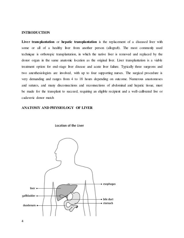 Anatomy and physiology and disease term paper