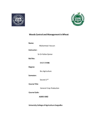Weeds Control and Management inWheat
Name:
Muhammad Hassan
Instructor:
Sir Dr Rafee Qamar
Roll No:
BAGF19M86
Degree:
Bsc Agriculture
Semester:
Second 2nd
Course Title:
General Crop Production
Course Code:
AGRO-5902
University College of Agriculture Sargodha
 