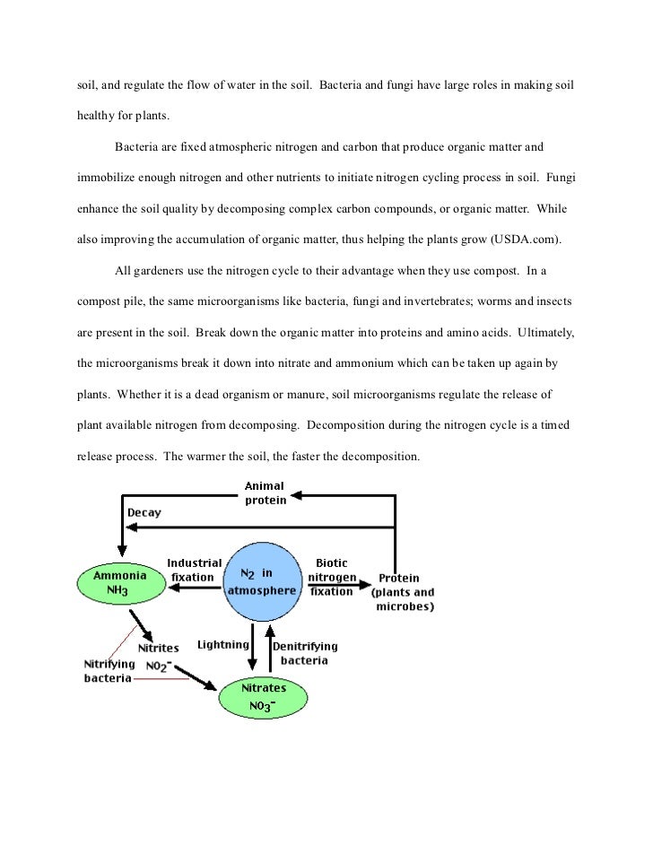 Biology term papers