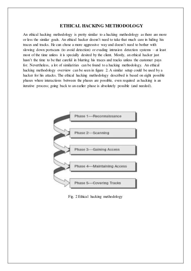 Term paper on ethical hacking