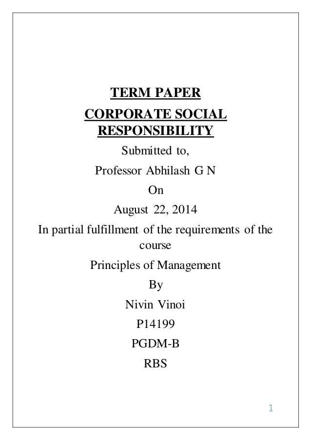 Social responsibility term paper