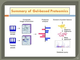 Gel Based Proteomics and Protein Sequences Analysis | PPTX
