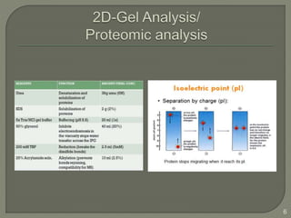 Gel Based Proteomics and Protein Sequences Analysis | PPTX