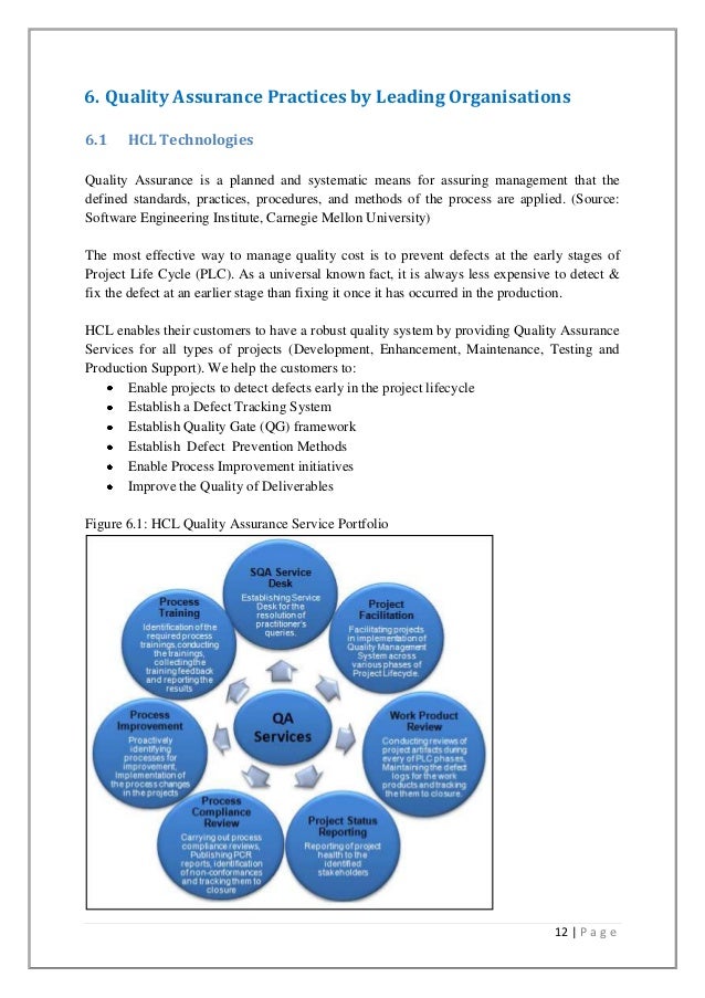 Software development life cycle term paper