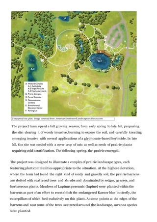 Conceptual site plan. Image sourced from AmericanInstituteofLandscapearchitects.com

The project team spent a full growing season, from early spring to late fall, preparing
the site: clearing it of woody invasive, burning to expose the soil, and carefully treating
emerging invasive with several applications of a glyphosate-based herbicide. In late
fall, the site was seeded with a cover crop of oats as well as seeds of prairie plants
requiring cold stratification. The following spring, the prairie emerged.
The project was designed to illustrate a complex of prairie landscape types, each
featuring plant communities appropriate to the situation. At the highest elevation,
where the team had found the right kind of sandy and gravelly soil, the prairie barrens
are dotted with scattered trees and shrubs and dominated by sedges, grasses, and
herbaceous plants. Meadows of Lupinus perennis (lupine) were planted within the
barrens as part of an effort to reestablish the endangered Karner blue butterfly, the
caterpillars of which feed exclusively on this plant. At some points at the edges of the
barrens and near some of the trees scattered around the landscape, savanna species
were planted.

 
