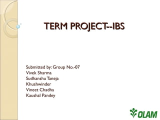 TERM PROJECT--IBS Submitted by: Group No.-07 Vivek Sharma Sudhanshu Taneja Khushwinder Vineet Chadha Kaushal Pandey 